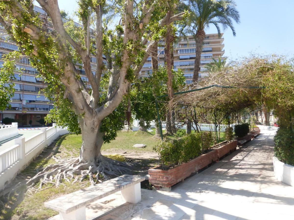 Family And Friends - San Juan Playa Apartment Alicante Ngoại thất bức ảnh
